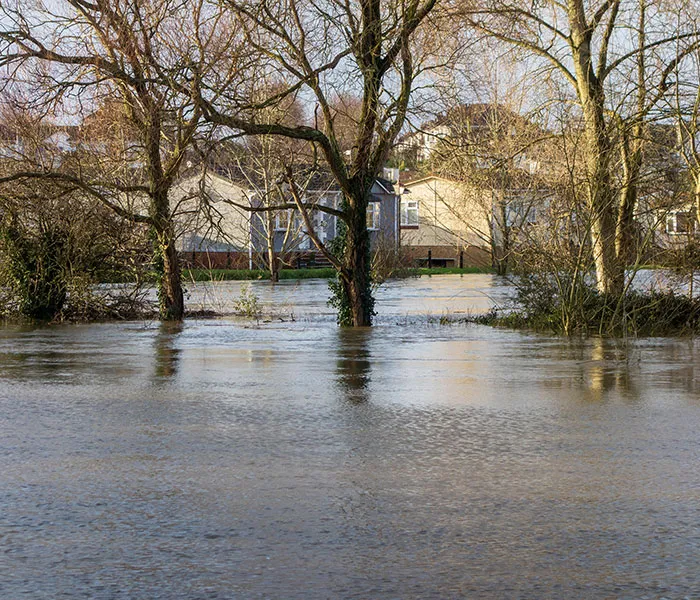 Flooded area with trees submerged in water and houses visible in the background.