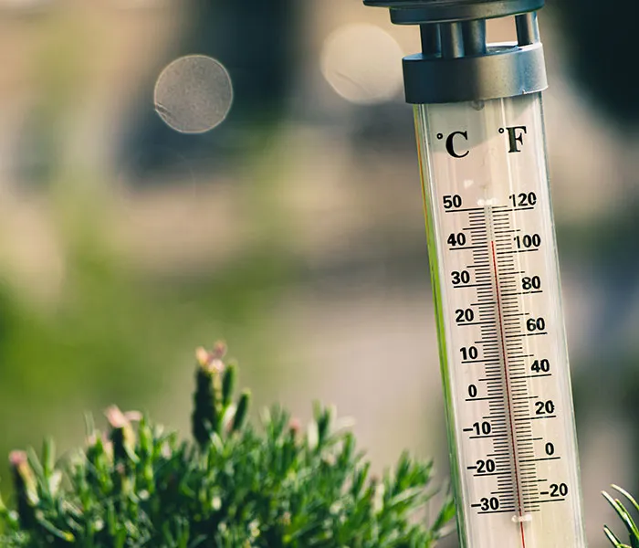 Close-up of a thermometer with a scale in Celsius, placed outdoors near green plants under sunlight.