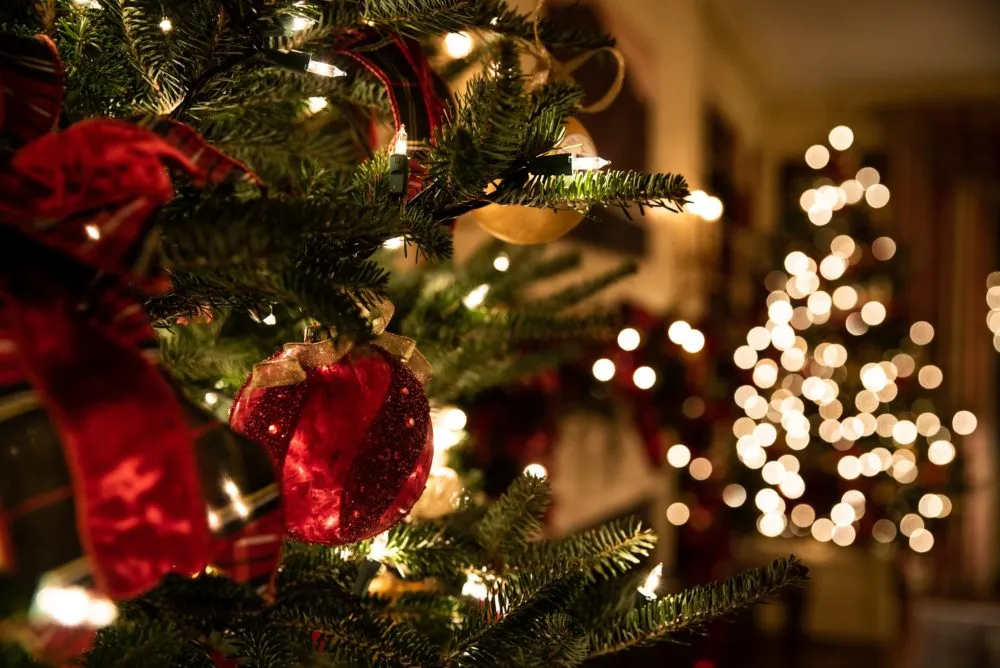 Close-up of a decorated Christmas tree with red and gold ornaments, with another illuminated Christmas tree visible in the background.