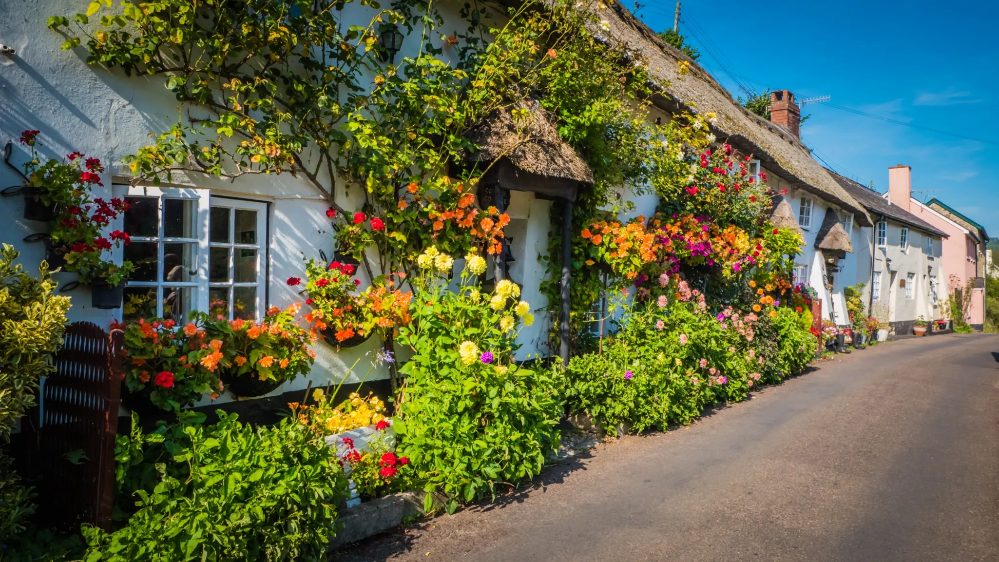 A row of charming white cottages are adorned with vibrant flowers and greenery, with a clear blue sky overhead.