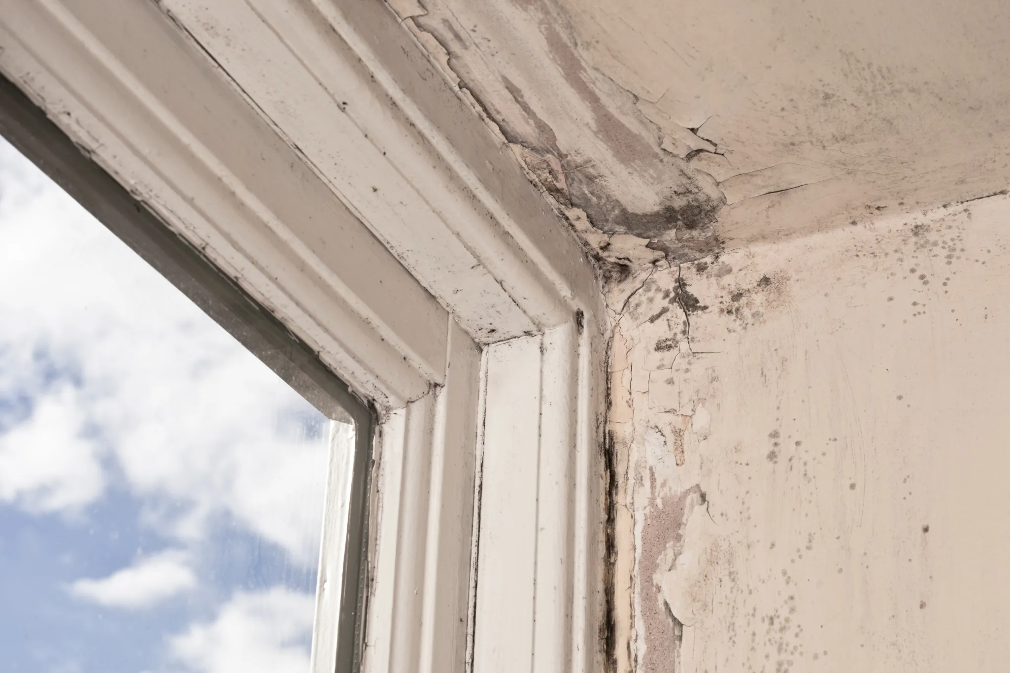 Damp window in listed home