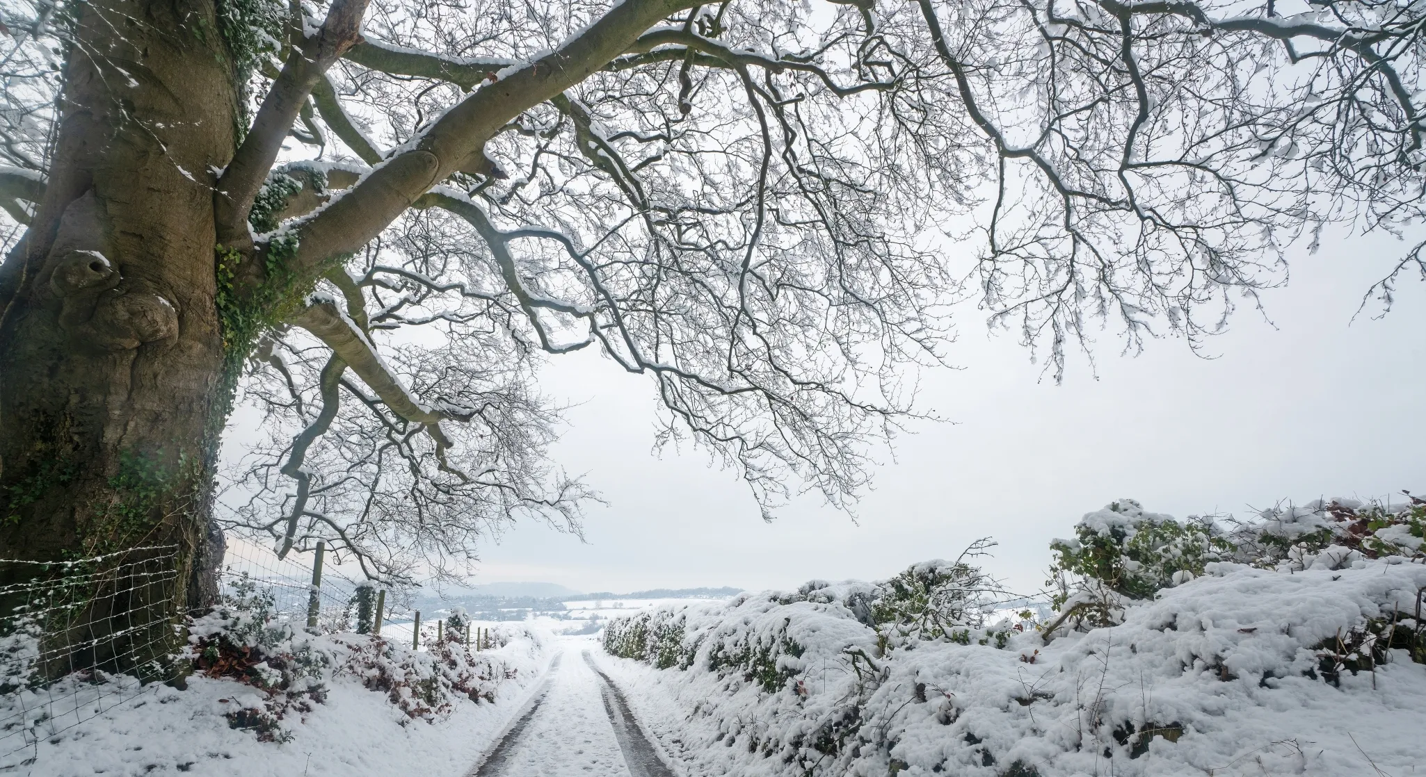 Snowy lane leading down to cottage in The Holiday