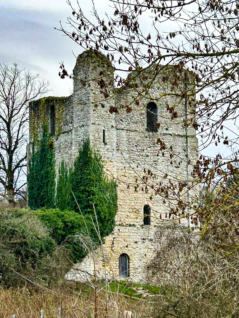 A stone castle with two towers, partially covered in ivy, stands amidst leafless trees and shrubs on an overcast day.