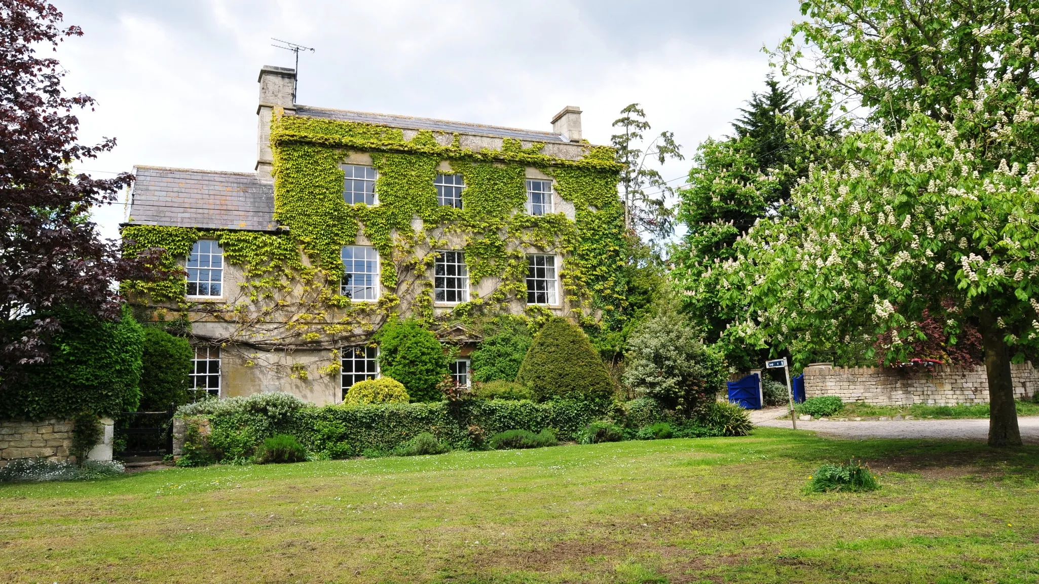 Old English home covered in foliage